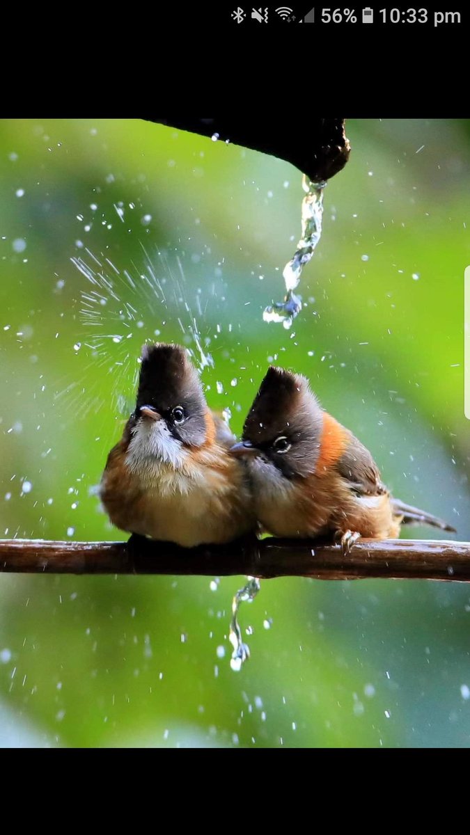 ভালোবাসার সম্পর্কটা হওয়া উচিৎ...🤗🙂

 "𝐓𝐨𝐦 &amp; 𝐉𝐞𝐫𝐫𝐲" এর মতো..😍☺️

সারাদিন ঝগড়া করবে, কিন্তু কেউ কাউকে ছেড়ে যাবে নাহ..❤️🥀