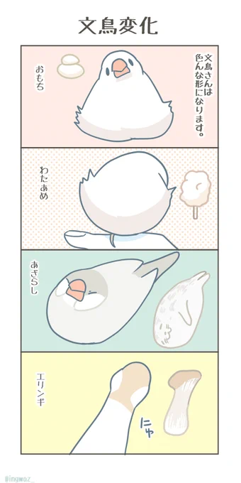 文鳥変化。

#Buncho #javasparrow #文鳥 #漫画 