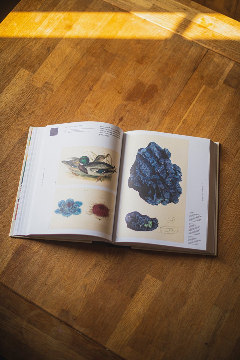 folioscopioed's tweet photo. Azules maravillosos...
#LosColoresdelaNaturaleza llegará a las #librerías el 22/03/2023
#Folioscopio #leer #librosilustrados #color #naturaleza #arte #diseño #LosColoresdelaNaturaleza #PatrickBaty #NaruresPalette#Biología #Botánica #Mineralogía #Aves #Pintura 🎨🦜🌴 https://t.co/vQNr63hEpv