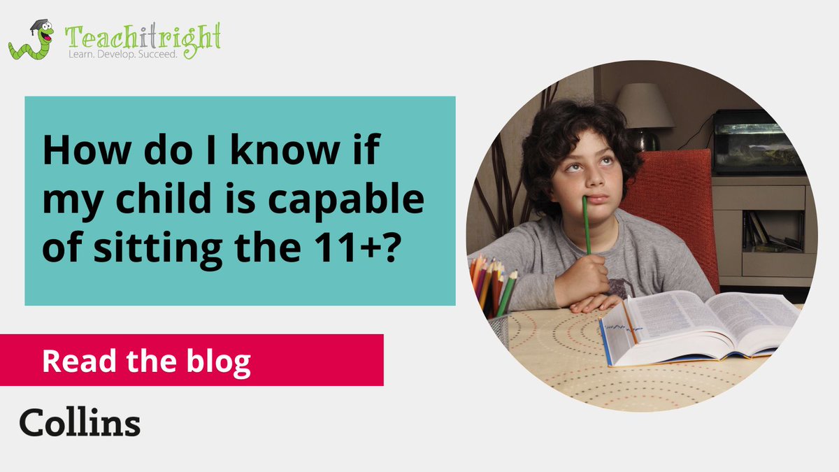 Collins4Parents's tweet photo. Wondering when your child should start studying for the 11+? 

Check out this blog by Chris Pearse @teachitrightltd to answer all your questions about how and when to start preparing for the 11+ exam.

Read the blog: https://t.co/xXZESqVgh6 https://t.co/JP1jbFBtgT