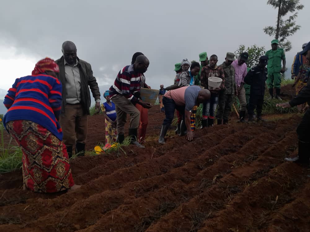Rwanda Agriculture & Animal Resources Devpt Board on Twitter: 
