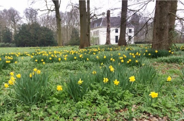 Hilde Backus tweet media