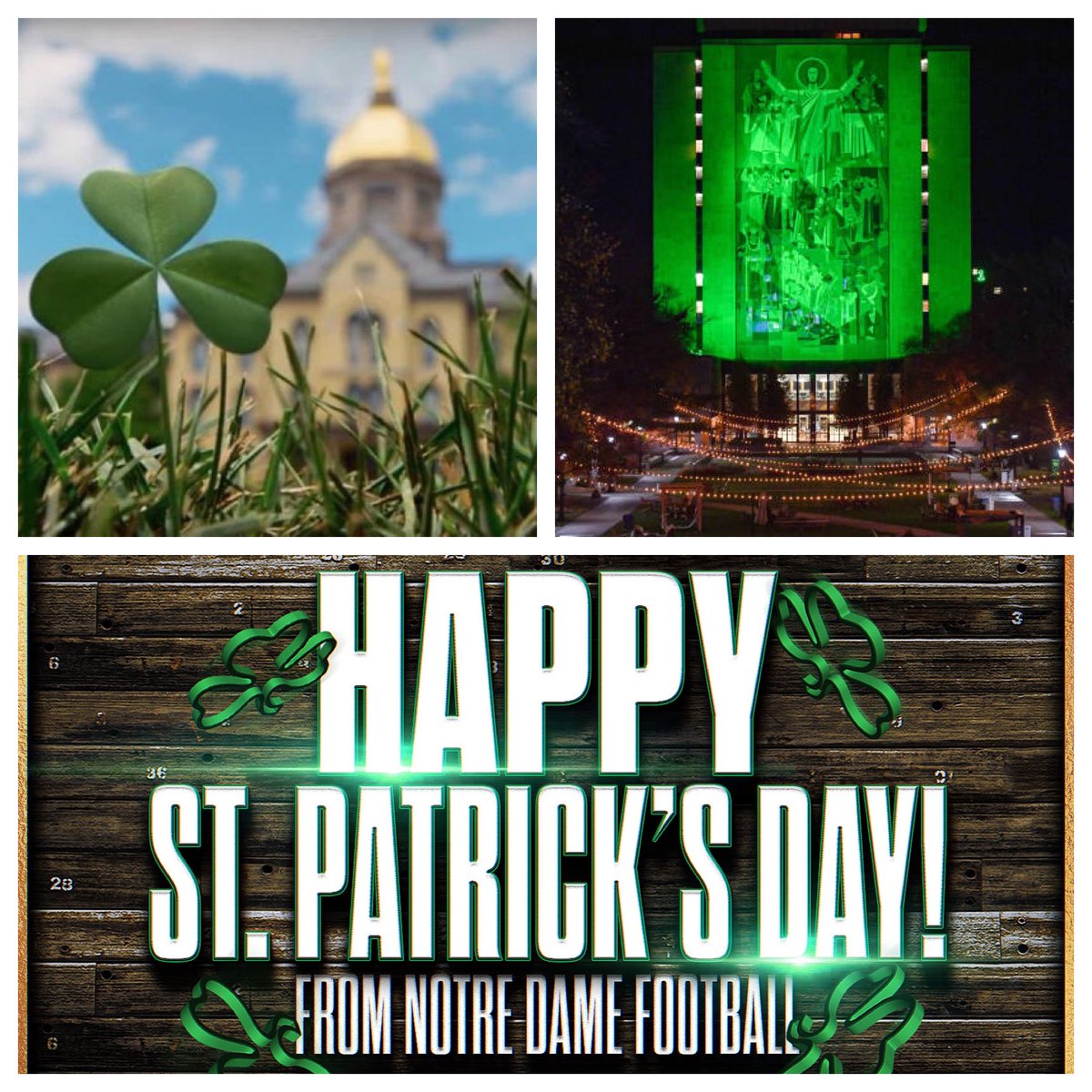 Al Golden tweet media