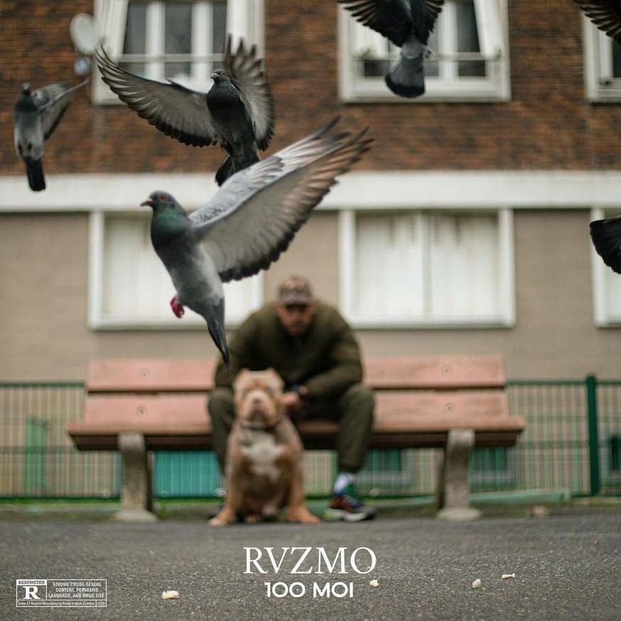 84. Rvzmo - 100 Moi (2023)

Comme prévu c'est très lourd, je suis assez content du projet.
Je m'attendais pas à ça mais il explore très bien les différents flows et les feats sont lourds.
Un gros potentiel. Il ne s'est pas contenté de faire du commercial.

🥇 | 100 Moi
📝 | 8/10