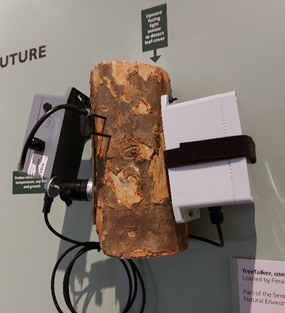 GressenhallFW's tweet photo. Tune into @BBCNorfolk tomorrow morning, when curator Rachel Kidd is on with @kethorne1 for #HistoryAtHome, talking trees - literally! Pictured: a #TreeTalker, currently trialled in woodlands managed by @NorfolkCC #NaturalEnvironmentTeam 🌳 https://t.co/WODM1Yq4p8