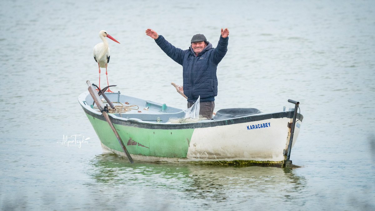12. yılda da Yaren Leylek sözünde durdu. Yağmurlara, fırtınalara göğüs gerdi, ülkeleri, şehirleri, dağları aşıp  dün yuvasına bugün de yarenlik ettiği Adem Amca'nın kayığına kondu ve pozunu verdi. Tüyü kadar ömrün olsun hepimize derin bir oh çektirdi sonunda!
#YarenLeylek