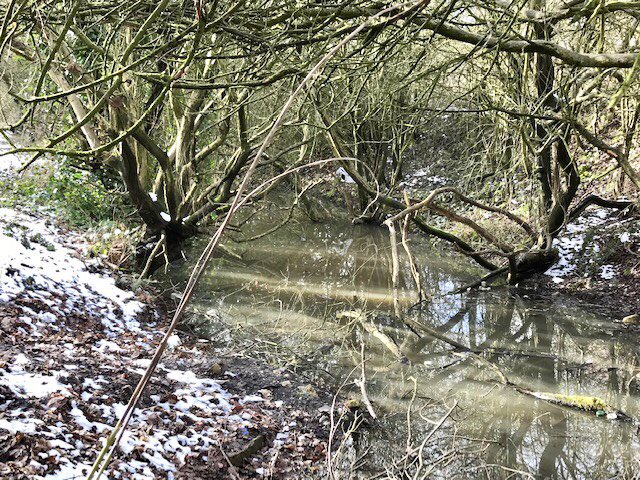 coal_legacies's tweet photo. The #Essington Collieries were served by the now abandoned #Wyrley and Essington #canal. The route is preserved through #Bloxwich. Traces remain including buildings and sections in water.
#coal #industrialheritage #towpathtrails #explore https://t.co/6gRmUZSnwx