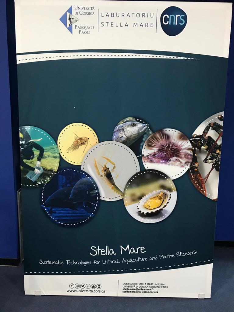 InstitutFMES's tweet photo. #S2M #FORMATION
Stella Mare un laboratoire qui imagine la pêche et l’aquaculture de demain en Méditerranée
Situé au sud de Bastia, le laboratoire #Stella Mare de l’#Université de Corse et du #CNRS est spécialisé dans l’ingénierie écologique marine et littorale en Méditerranée. https://t.co/SYFv09iv7G