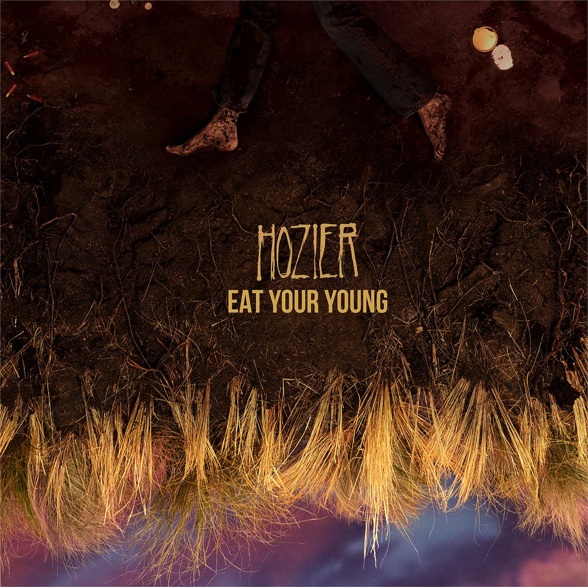 Hozier tweet media