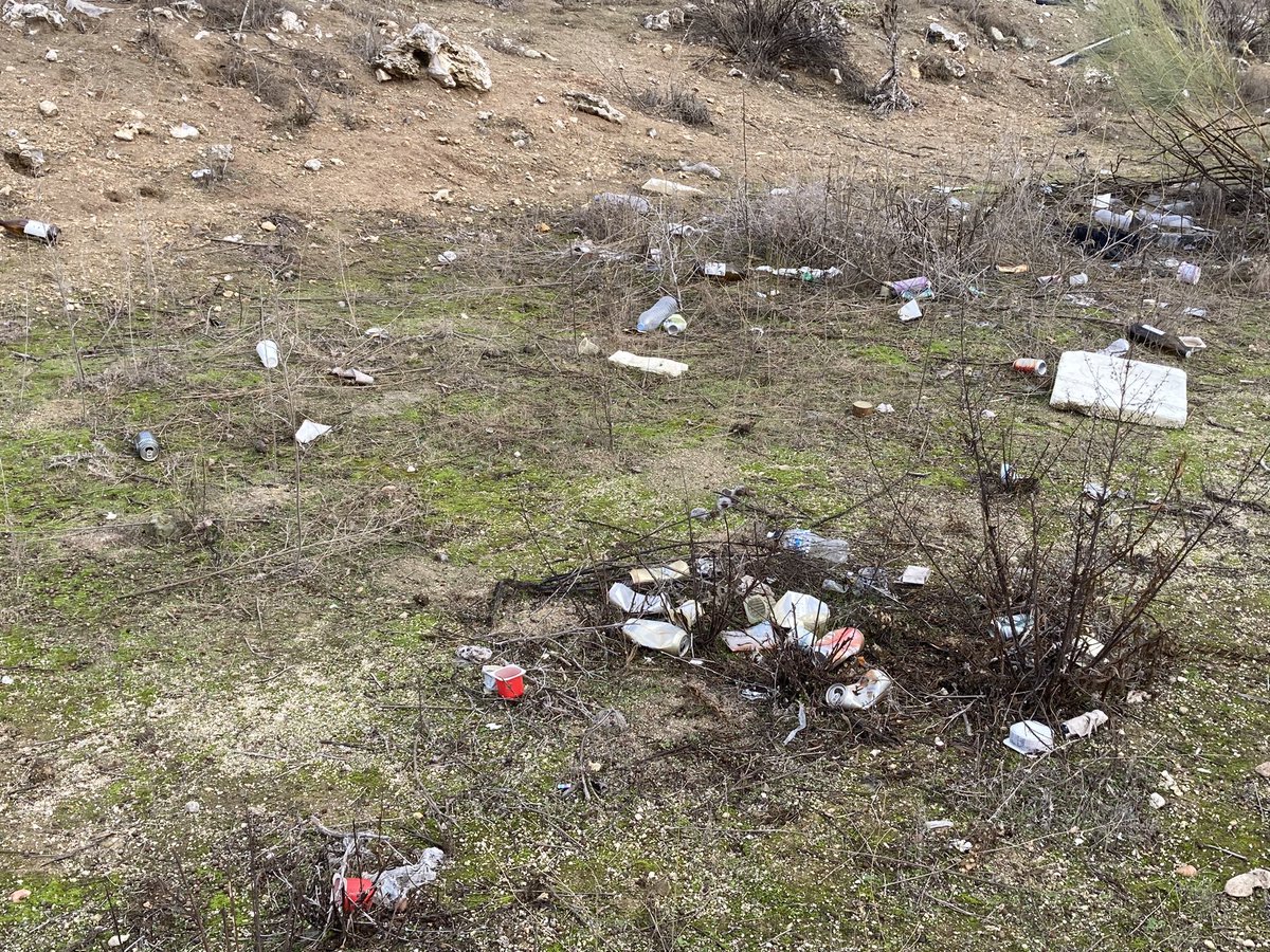 CanaveralUnido's tweet photo. @palomagromero Ciencia ficción ese verde cegador.

La realidad: descampados repletos cardos, ratas, conejos, basura y restos de materiales de obras 🏗️ 🚧 ⚠️ 
que es lo único que habrá en Valdecarros, igual que en #ElCañaveral. Otros 150.000 madrileños pagando impuestos sin servicios básicos. https://t.co/N4krhxfI6T