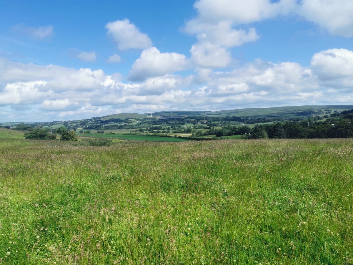 JNCC_UK's tweet photo. Happy #StPatricksDay!🍀 

On #StPatricksDay2023🍀 find out more about our UK Country Liaison Officers https://t.co/ciB81I35xw including Amy Arnott @Amy_Or_Not, our Northern Ireland Liaison Officer who works closely with the Northern Ireland Environment Agency &amp; @daera_ni https://t.co/8c9m7IDLVF