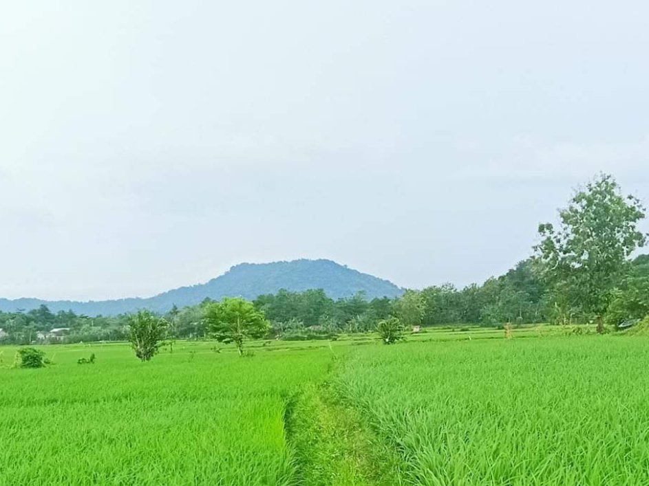 Pemandangan sore yg indah