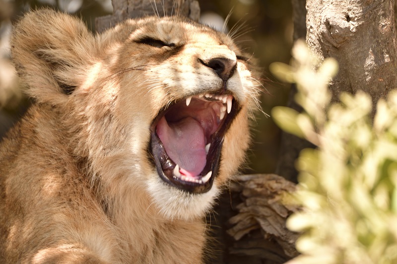 En esta ocasión la experiencia de Alejandro, se cuenta por sus imágenes.

Asante sana!

udare.es/imagenes-de-un…