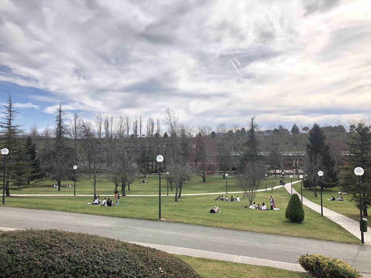 blancabv_98's tweet photo. No digo que haya sol tooodos los días, pero sí que se puede trabajar en el campus 🌳🌤️ 🌻#primaveraiscoming 

Una de #phdstudentlife 👇
https://t.co/b8VbEwWoTN https://t.co/Xck2MzijfA