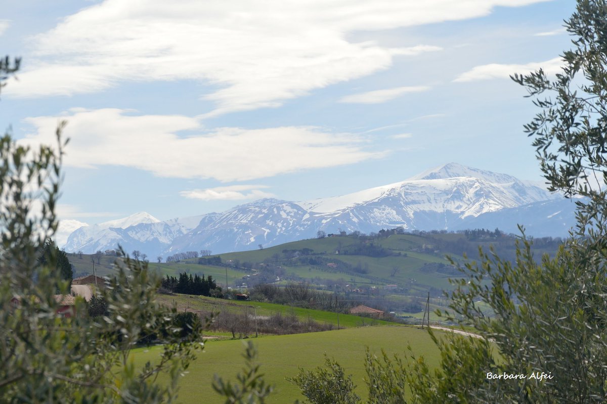MarcheRurale's tweet photo. Sibillini innevati dalla campagna maceratese.
Le immagini della rubrica “Lo #SviluppoRuraleMarche in uno scatto” a cura di Barbara Alfei AMAP Marche! https://t.co/Yxnwg7DUgj
