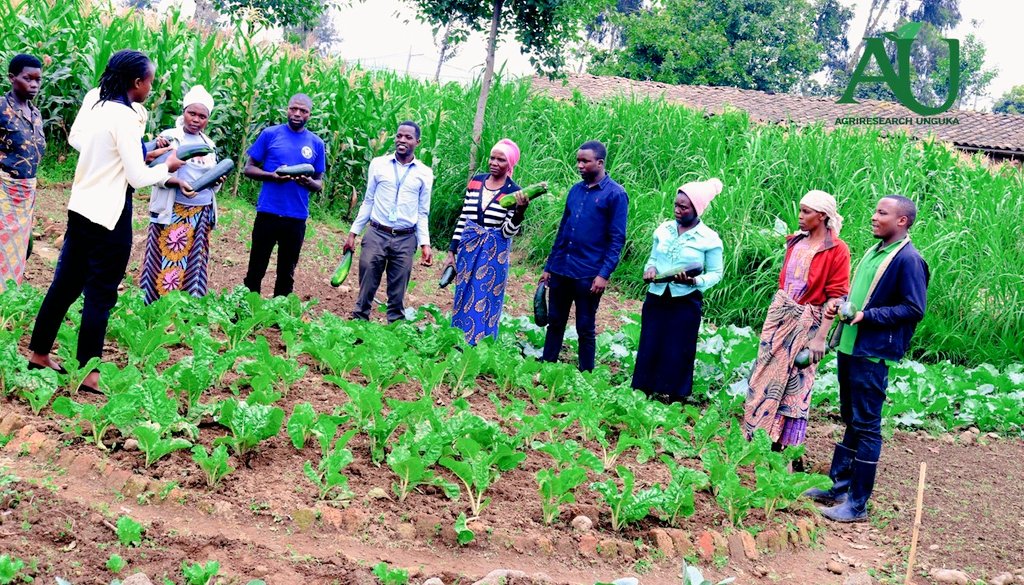 AGRIRESEARCHLtd's tweet photo. With smiles,#farmers welcomed 2023A season's #harvest. But #postharvestlosses scare them!To maintain these smiles,join us to expand our services to be able to accommodate your needs.Reach out to us and let's see how best we can work together with affordable #coldstorage  &amp; #ZEEC https://t.co/MN5RFXy6F8
