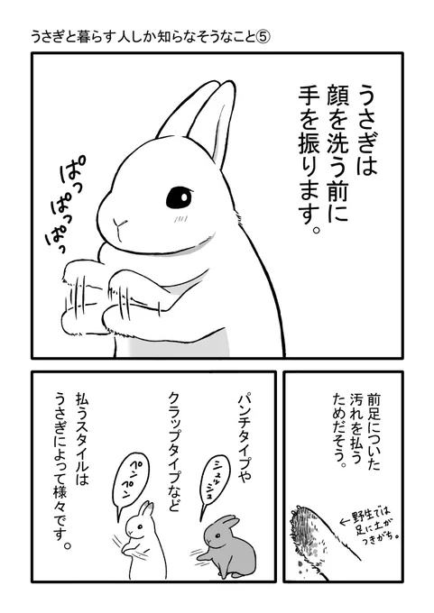 うさぎと暮らす人しか知らなそうなこと⑤を描きました。

#うさぎのいる暮らし 