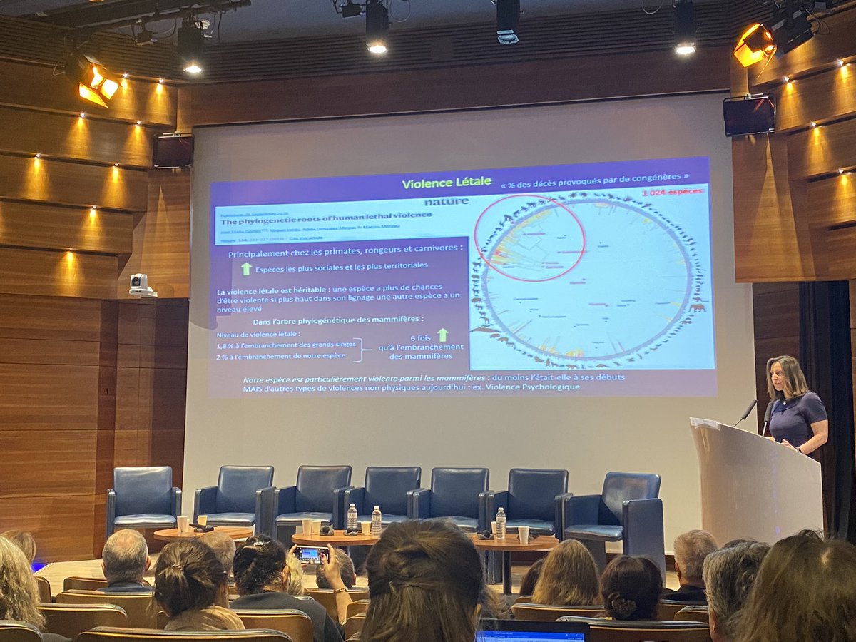 dib_saliha's tweet image. L’espèce humaine est particulièrement violente chez les mammifères Shelly Masi #violence #uneseuleviolence #1health #OneHealth