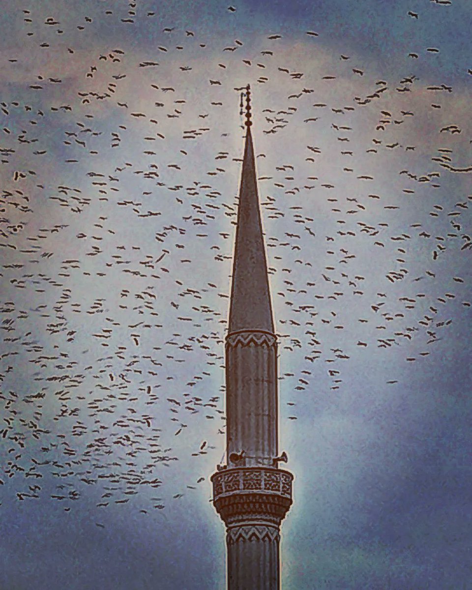 🕊️

Yitirilen!

İnsanlık,
vicdan,
inanç!  

#istanbul  #istanbul #istanbulda1yer #göç #goc  #sky #street #streetphotography #mobilephotography #mobileshot  #bird #cami #mosque #istanbuldayasam #istanbulphotos #mobile