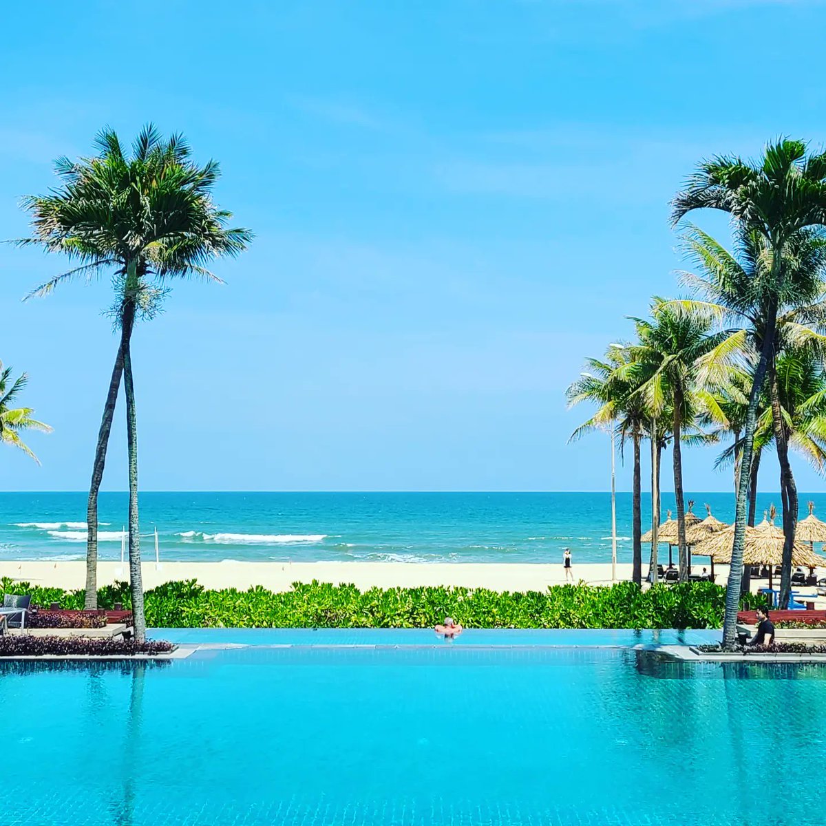 Lightningcon Vietnam tweet media