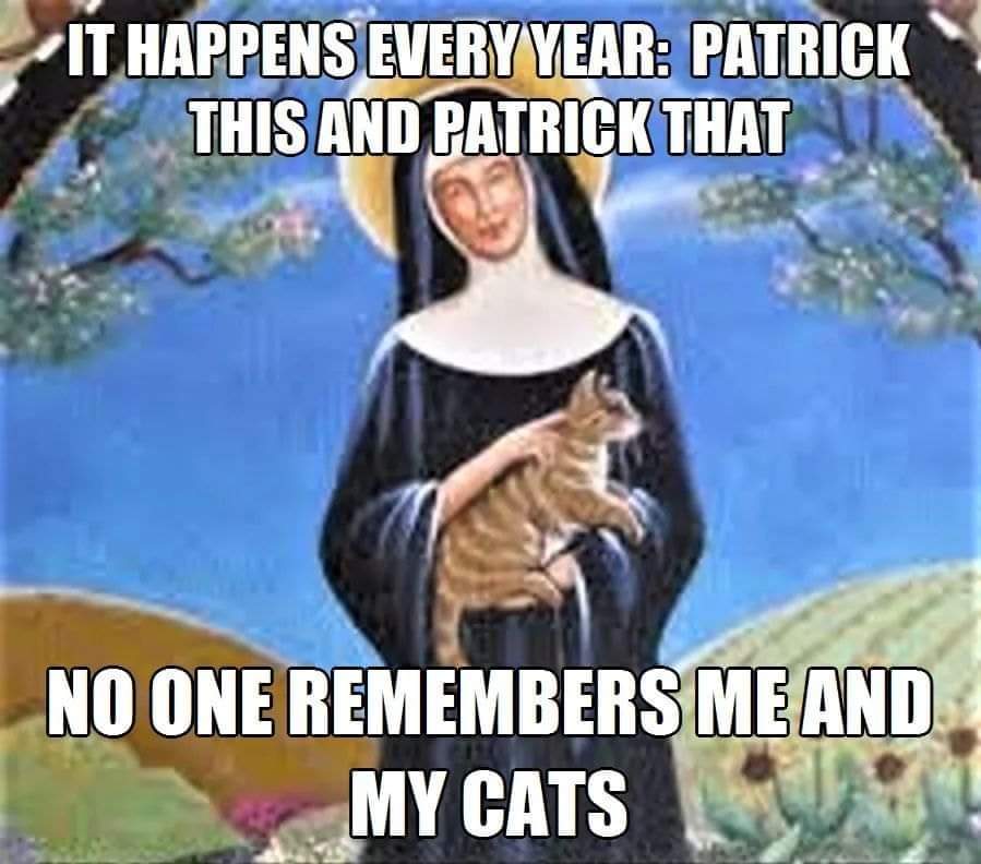 Feralcatsmanor's tweet photo. Happy St Gertrudes Day, patron saint of homeless cats 🐈🐈‍⬛! Happy enuf to share it with St. Patrick ☘️

#CatsOfTwitter #CatsAreFamily #CatsOnTwitter #cats https://t.co/Dijx3wkN3V