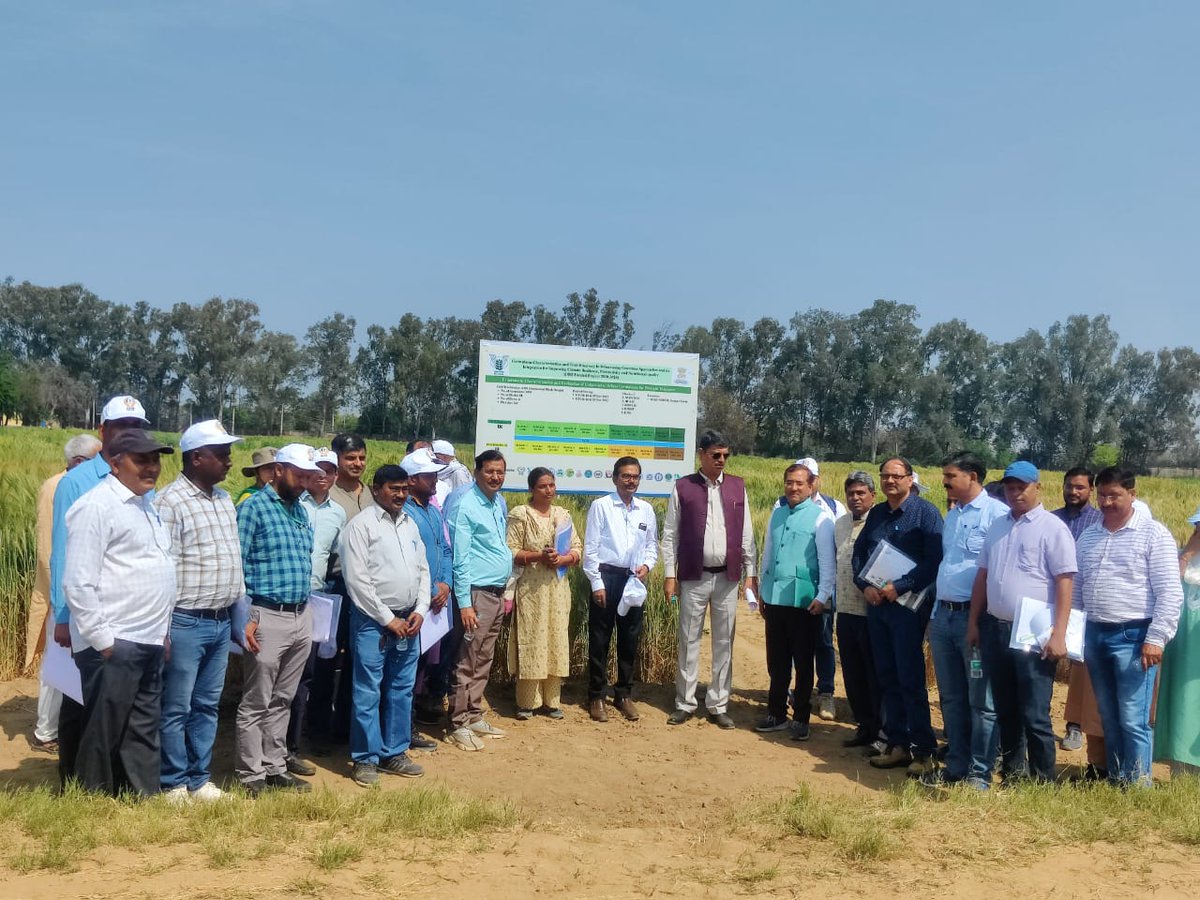 Thanks to all wheat, barley and pulse workers for selecting unique and trait specific live variability for use in future breeding program <a href="/icariari/">SRIKANTA</a> <a href="/icarda/">ICARDA</a>  <a href="/Nuziveeduseed/">Nuziveeduseeds</a> <a href="/INbpgr/">ICAR-NBPGR</a>