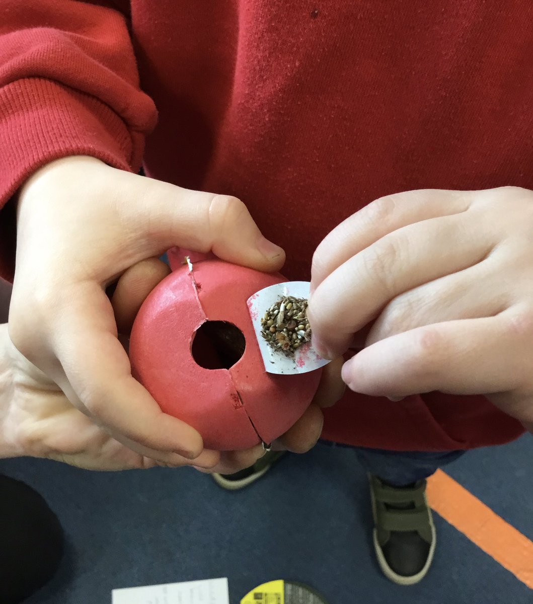 NurseryOPS's tweet image. The children are going to grow a red nose! The seeds are in the nose, we shook the seeds (the instructions said so!). #RedNoseDay2023 #opsscience #earlymaths #understandingtheworld