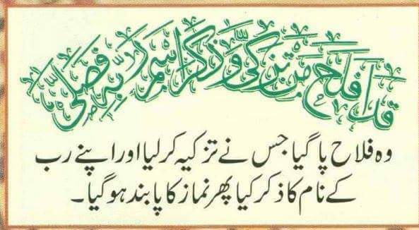 Makhdoom313's tweet photo. قد افلح من تذکی 

وه فلاح پا گیا جس نے اپنا تزکیہ کیا 
#FridayLesson
#Quran❤ https://t.co/3WxXZcrrvM