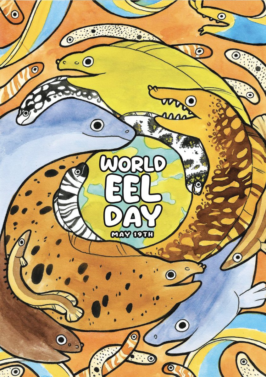 World Eel Day May 19th 2023 - find out how to get involved at eels.cargo.site/Worldeelday
#eels #worldeelday2023 poster by Fox Vincent.