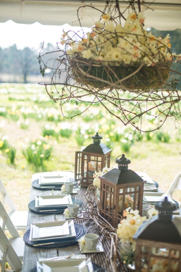 P. Allen Smith tweet media