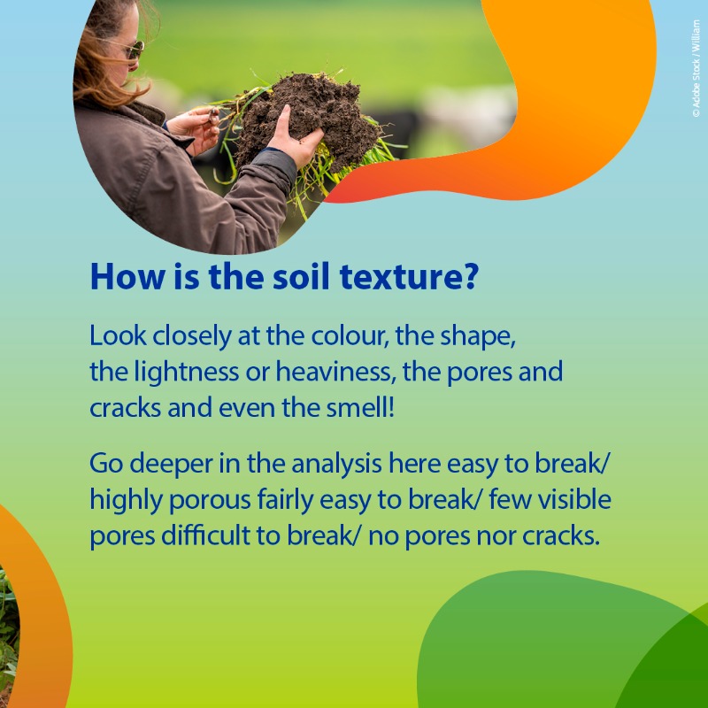 HorizonEU's tweet photo. Ever wondered what’s hiding underneath your feet? 👣

Take a garden spade &amp; test your #soil! 🔍

🇪🇺 Research &amp; innovation projects, like @SoilCare_eu, promote good practices to improve soil health in line with the #MissionSoil objectives.

Learn more! 👇

#EUMissions #HorizonEU