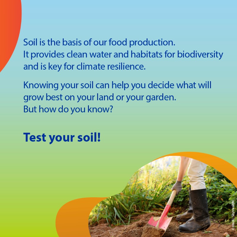 HorizonEU's tweet photo. Ever wondered what’s hiding underneath your feet? 👣

Take a garden spade &amp; test your #soil! 🔍

🇪🇺 Research &amp; innovation projects, like @SoilCare_eu, promote good practices to improve soil health in line with the #MissionSoil objectives.

Learn more! 👇

#EUMissions #HorizonEU