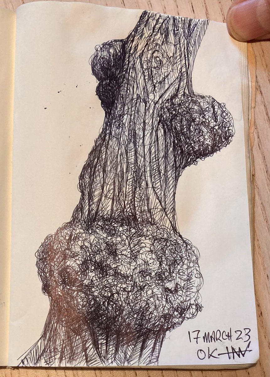 Weaverwerx's tweet photo. I just made a lumpy tree drawing! 🙂
#HappyFriday #drawing #art #weirdtree #ballpointpenart #dohashtagsreallywork #whyRUstillreadingthis https://t.co/EMPbofpeea