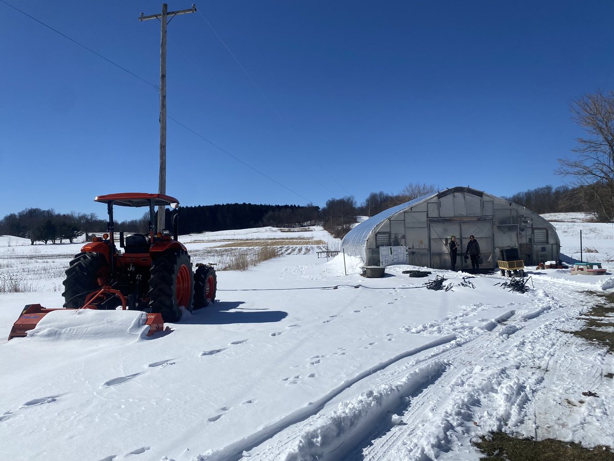 lilly🪴 tweet media