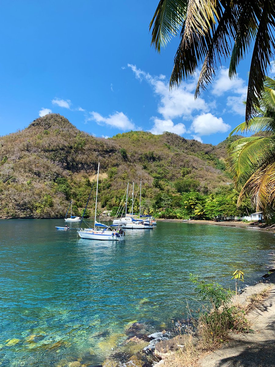 Back in one of my favourite Caribbean destinations: St. Vincent and the Grenadines. 🏝