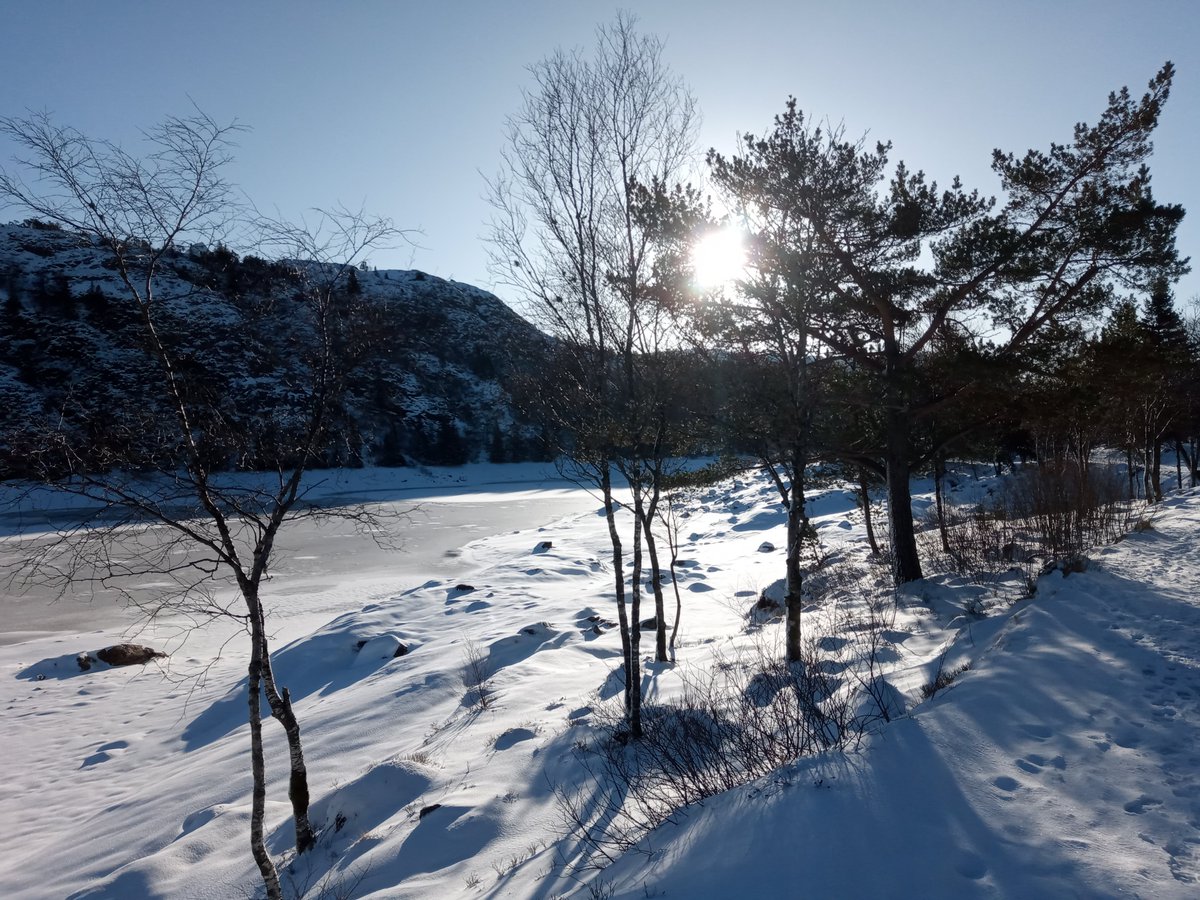 mitomaths's tweet photo. RTs much appreciated! 
Fancy trying beautiful Norwegian life (Figs 1-4) and doing some cool science?
Two 1yr researcher posts, in biomaths
https://t.co/z95lzfg1Jz
and bio
https://t.co/zsNNyN7QQD
I'll help with applications for follow-on funding and posts. V happy to chat more! https://t.co/fbccQR84gE