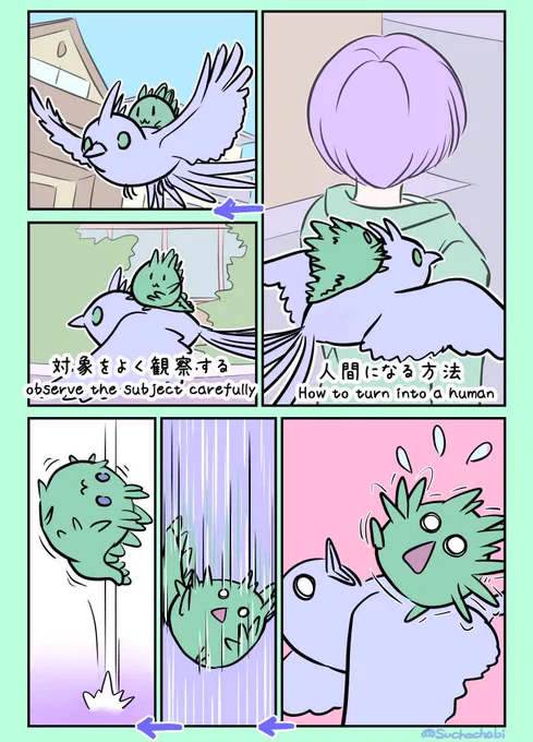 1055日目 羽が大好き はねすき(成体)に協力してもらうはっぱすき(幼生) 
