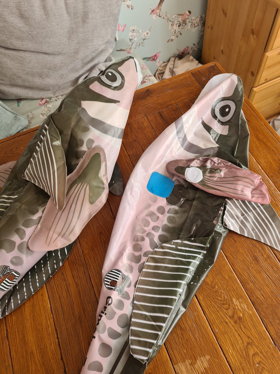 alliejohno's tweet photo. Got some players to get matchfit for Sunday 🐠 @officialgtfc #fish #FACup https://t.co/o3L7uO1yBe