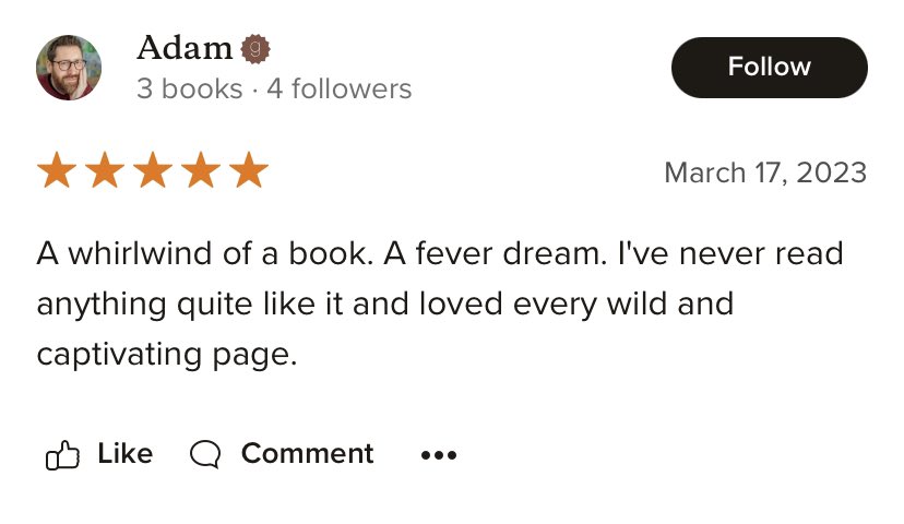 Thanks to @AdamJFarrer for this excellent review of Seven Nights at the Flamingo Hotel… ‘…loved every wild and captivating page.’ @beardedbadgerpc