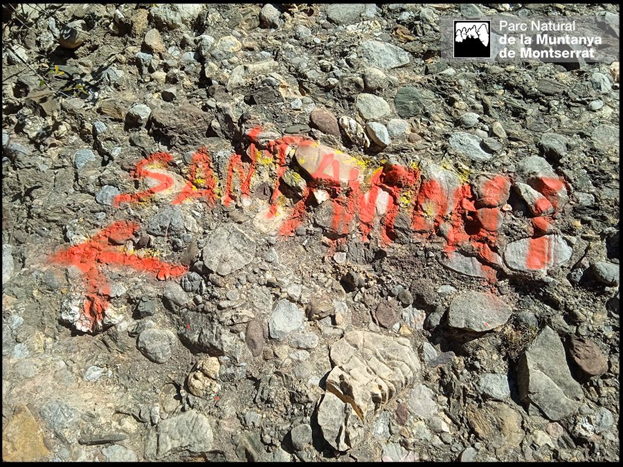 PNMontserrat's tweet photo. Aquesta mena de senyalitzacions pintades a la roca de la muntanya són agressions al nostre patrimoni natural amb un alt impacte paisatgístic.
 
Si vols saber com arribar a l’ermita de Sant Antoni, tens moltes opcions abans de fer aquesta destrossa al medi natural 👇 https://t.co/GQ1Tko15Ey