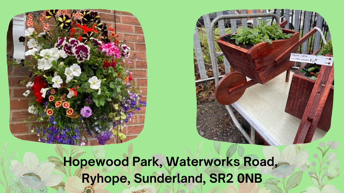 CNTWNHS's tweet photo. Did you know about the Garden Centre based at our Hopewood Park site?

Our service users grow and care for all of the plants, make hanging baskets, wooden planters and more! 💐🌷🌱

All items are for sale to the public 8.30am - 3.30pm, 7 days a week! https://t.co/2HCqzMCGis