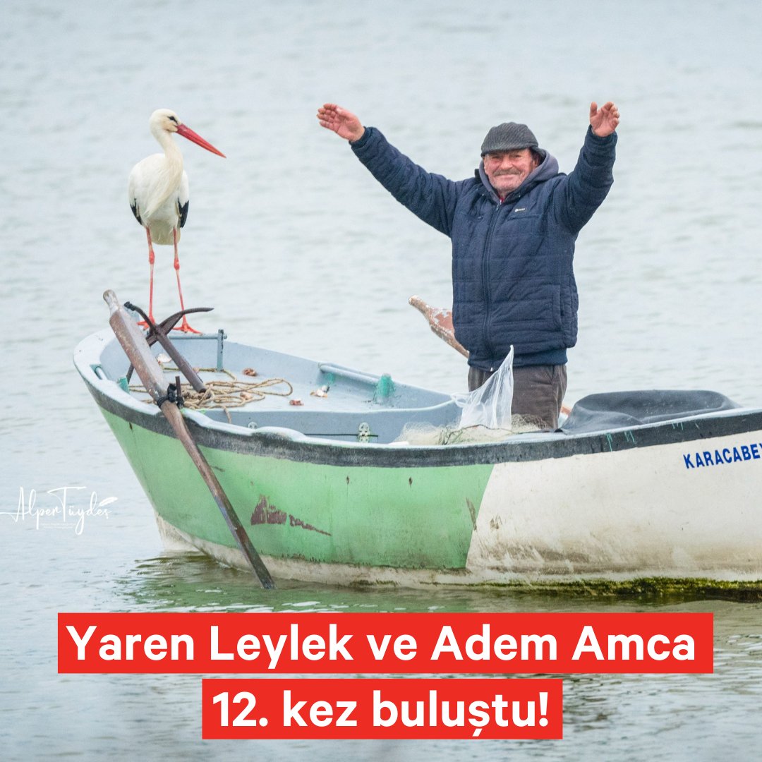 Günlerdir beklenen kavuşma gerçekleşti.
Yaren Leylek, Adem Amca ile sağ salim buluştu.

12 yıldır göçten gelince Eskikaraağaç'taki yuvasına yerleşen ve köylülerin Yaren ismini verdiği leylek, yaz boyunca Balıkçı Adem Yılmaz ile yeniden göle açılacak.

Fotoğraf: <a href="/alpertuydes/">Alper Tüydeş</a>