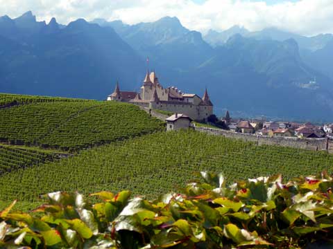 GuideGastro's tweet photo. Evénements du vin en Suisse https://t.co/FDarjz1p9t #vin #geneve #geneva #vaud #lausanne #lavaux #valais #neuchatel #wine #swisswine #winetasting #winelover #suisse #switzerland #wein #schweiz #sion #sierre #vully #fribourg #bienne #nyon #morges #vevey  #bern #zurich #gastronomie https://t.co/Lsn41GtmQO