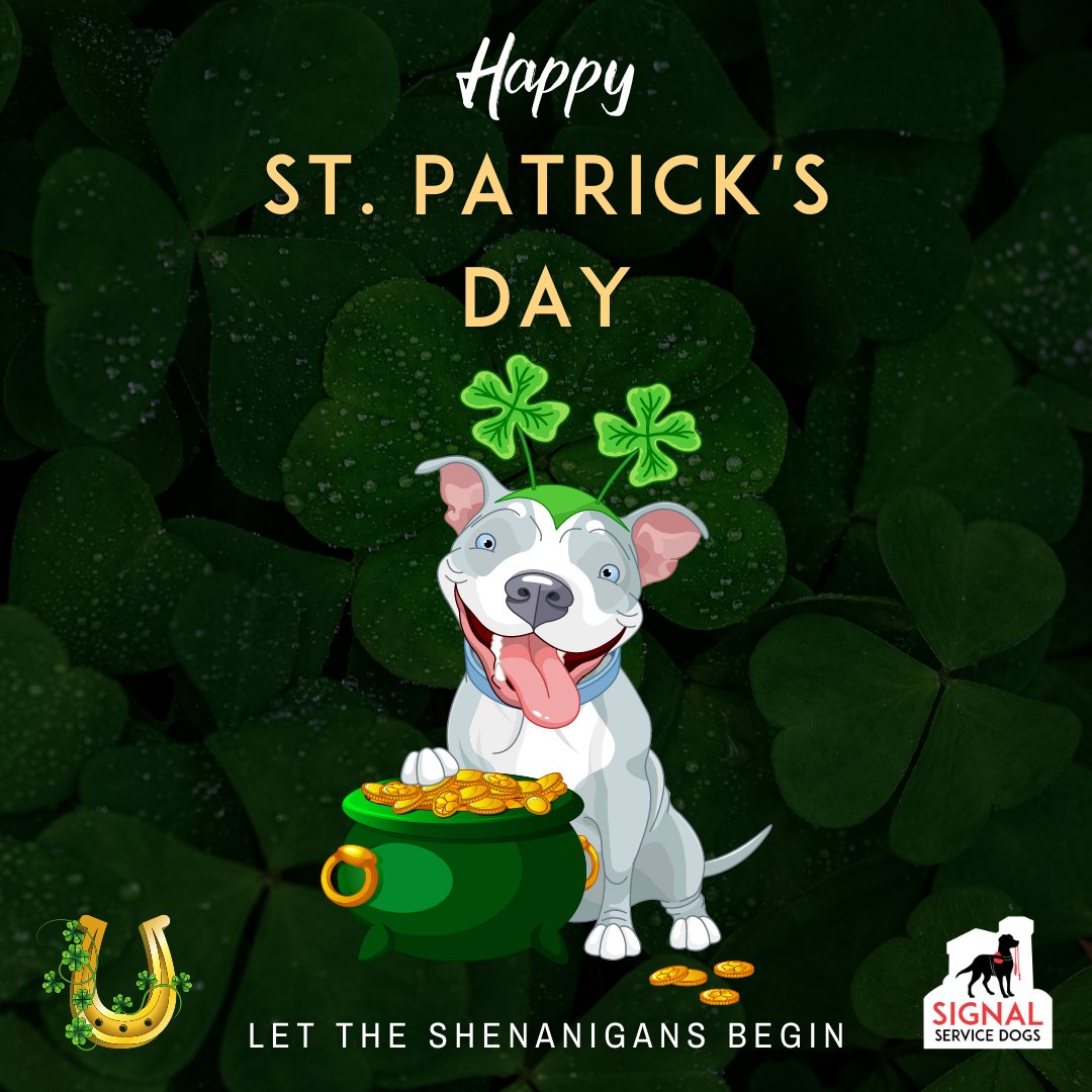 Wishing you a pot of gold this St. Patrick's Day! May your day be touched by some Irish luck!

#StPatricksDay
#HappyStPatricksDay
#PaddyAllDay
#ServiceDogsNL
#GoodDog
#DogTraining
#MentalHealthAwareness
#MentalHealthAdvocate
#MentalHealthWellness
#MentalHealthSupport