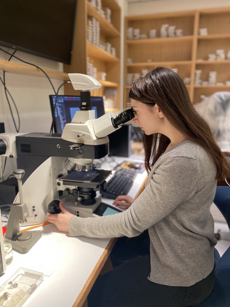 Today is #AskAScientist day and your opportunity to ask our scientific team all of your burning questions! 🔬

Head over to our Instagram channel, where we'll be posting our responses throughout the day: bit.ly/3lmn7Zm