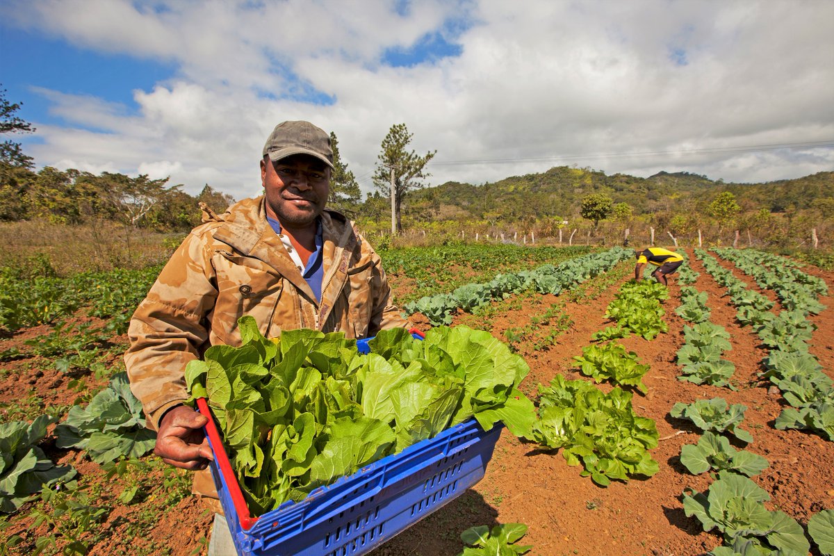 Rural people make up close to half of the world’s population 🌍

We cannot achieve the #GlobalGoals without them.