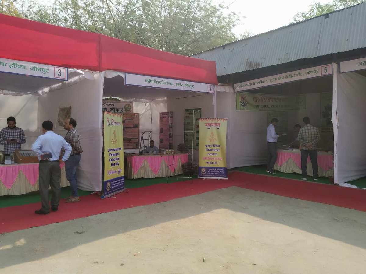bsi_moefcc's tweet photo. @bsi_moefcc #AZRC #Jodhpur participated in #VRIKSHA_UTPADHAK_MELA organised by @IcfreIndia #AFRI on March 17, 2023. The officials of BSI exhibit the BSI publications, provide information on the plant wealth of the Hot Desert region and also promote the Mission Life campaign. https://t.co/5g5eUji7kf