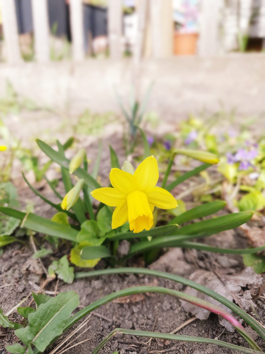 Na Dunaju se že prebuja pomlad 🐝, z njo pa se življenje vrača tudi v prekrasne mestne parke 🌷. Želimo vam lep konec tedna! ☀️ 
#ViennaOffices #EurocommPR #Dunaj