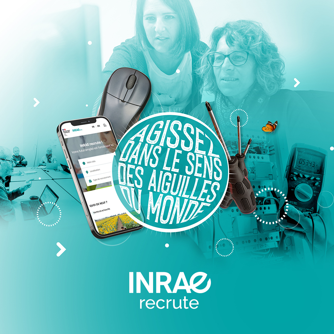 INRAE_France's tweet photo. 📢Plus que quelques jours pour concourir !

Vous avez jusqu’au 23 mars pour postuler à nos concours d’ingénieurs, cadres, gestionnaires et techniciens (H/F) en France métropolitaine et outre-mer.

Plus de 250 postes sont à pourvoir ici 👉 https://t.co/JMm9pzzazR

#recrutement https://t.co/6fZOMNynbH