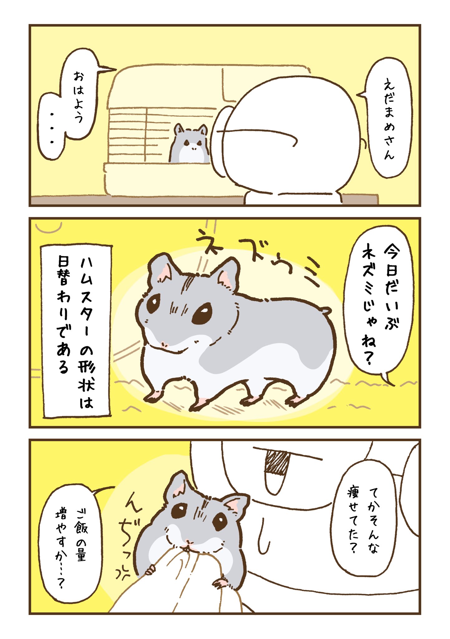 遊ハち＠ハムスター飼い a X: 
